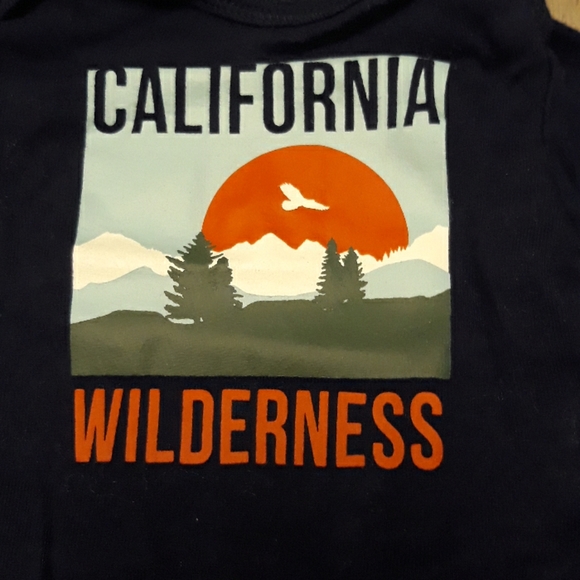 3.00 - Picture 3 of 3